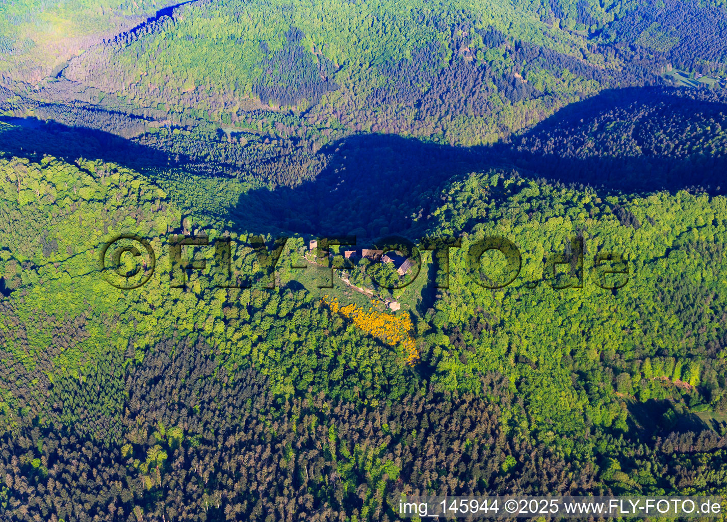 Aerial view of CHÂTEAU DU HUNEBOURG from the east in Dossenheim-sur-Zinsel in the state Bas-Rhin, France