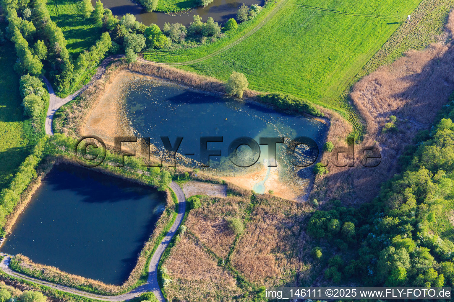 Basin on the Saar floodplain meadows in Willerwald in the state Moselle, France