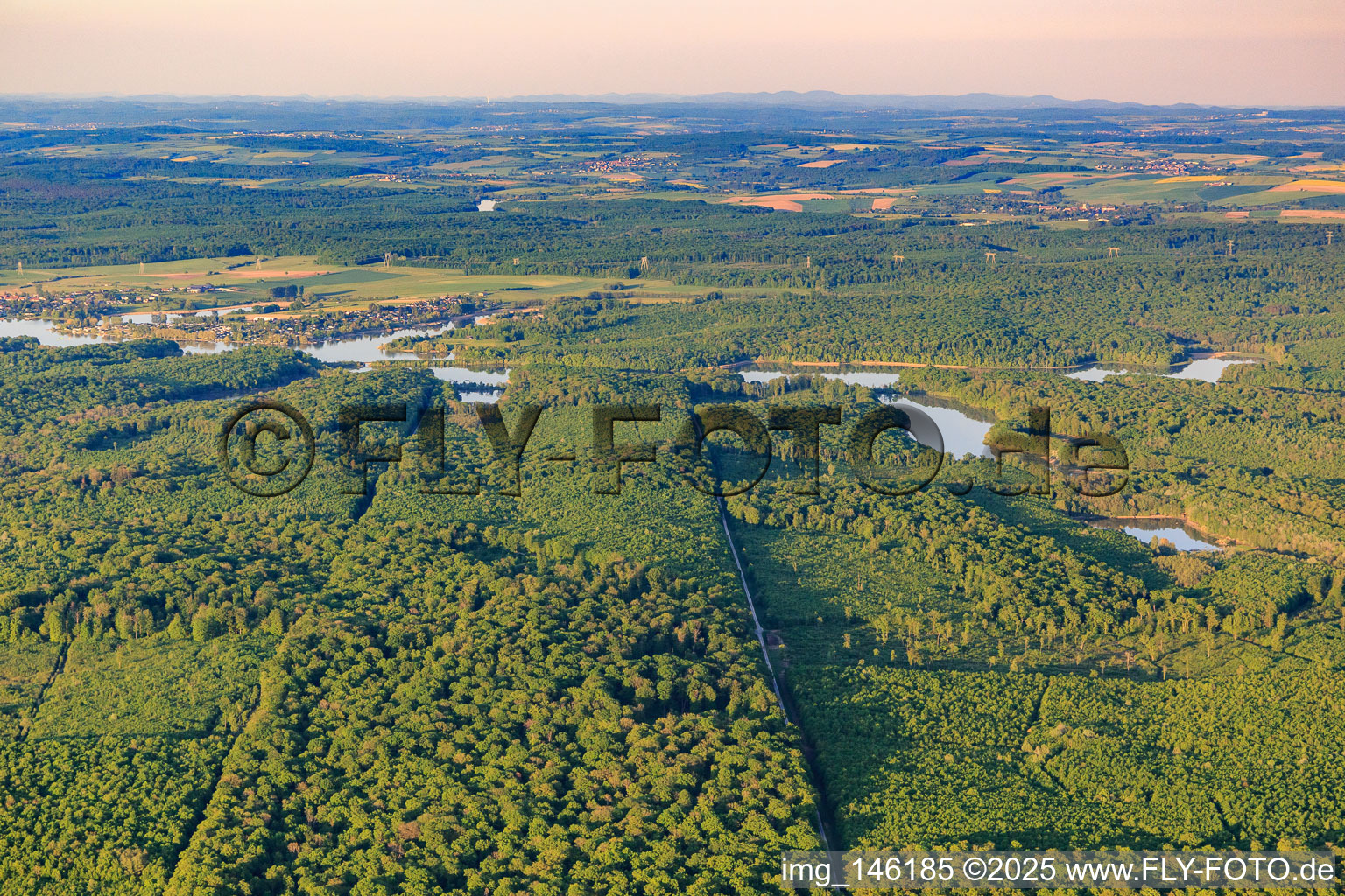 Forest in front of Lake Mittersheim from the west in Mittersheim in the state Moselle, France