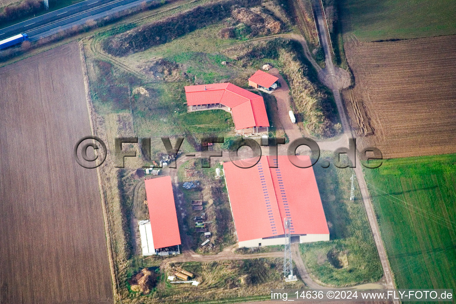Chicken farm egg farm in Erlenbach bei Kandel in the state Rhineland-Palatinate, Germany from the plane