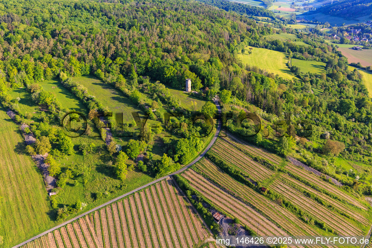 Weikersheim watchtower and vineyards with Weikersheimer Schmecker winery in Weikersheim in the state Baden-Wuerttemberg, Germany
