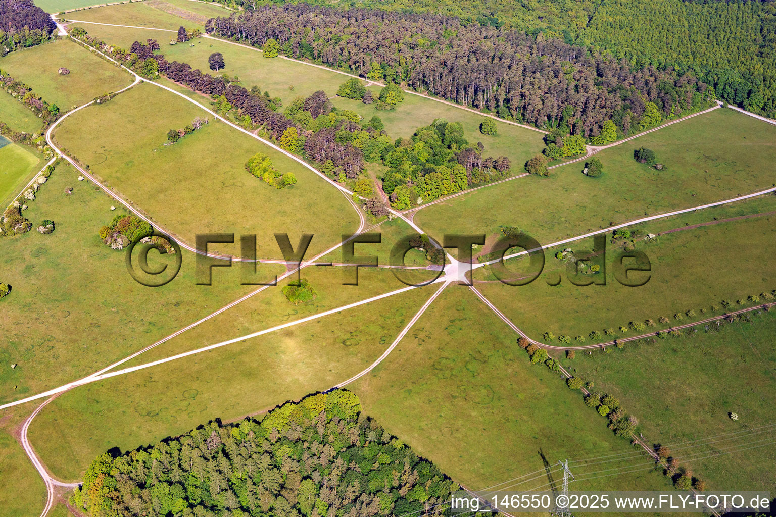 Brachenleite nature reserve at Tauberbischofsheim in Tauberbischofsheim in the state Baden-Wuerttemberg, Germany