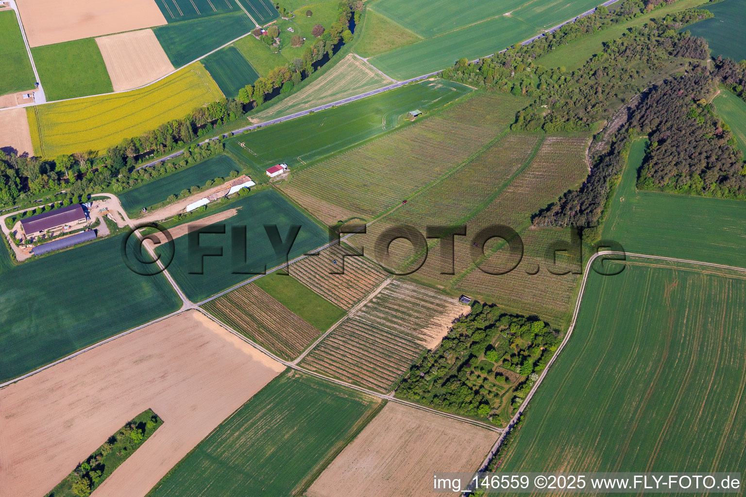 Weinberger on Taubertalstr in the district Impfingen in Tauberbischofsheim in the state Baden-Wuerttemberg, Germany