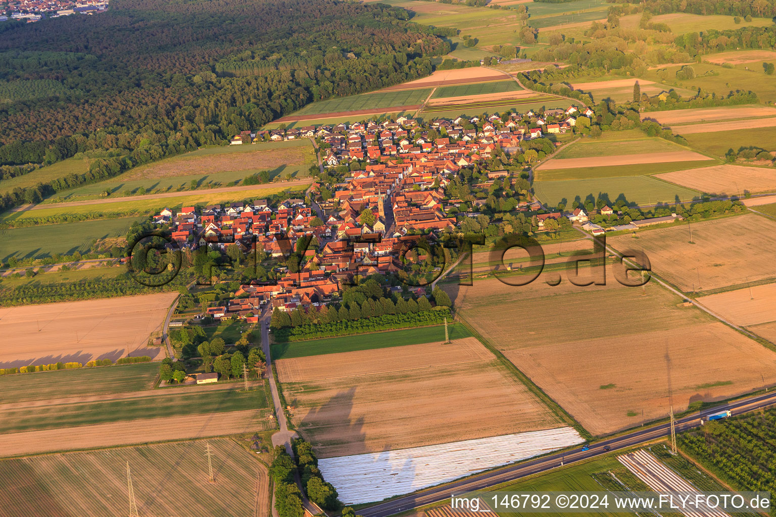 Village view from the northwest in Erlenbach bei Kandel in the state Rhineland-Palatinate, Germany