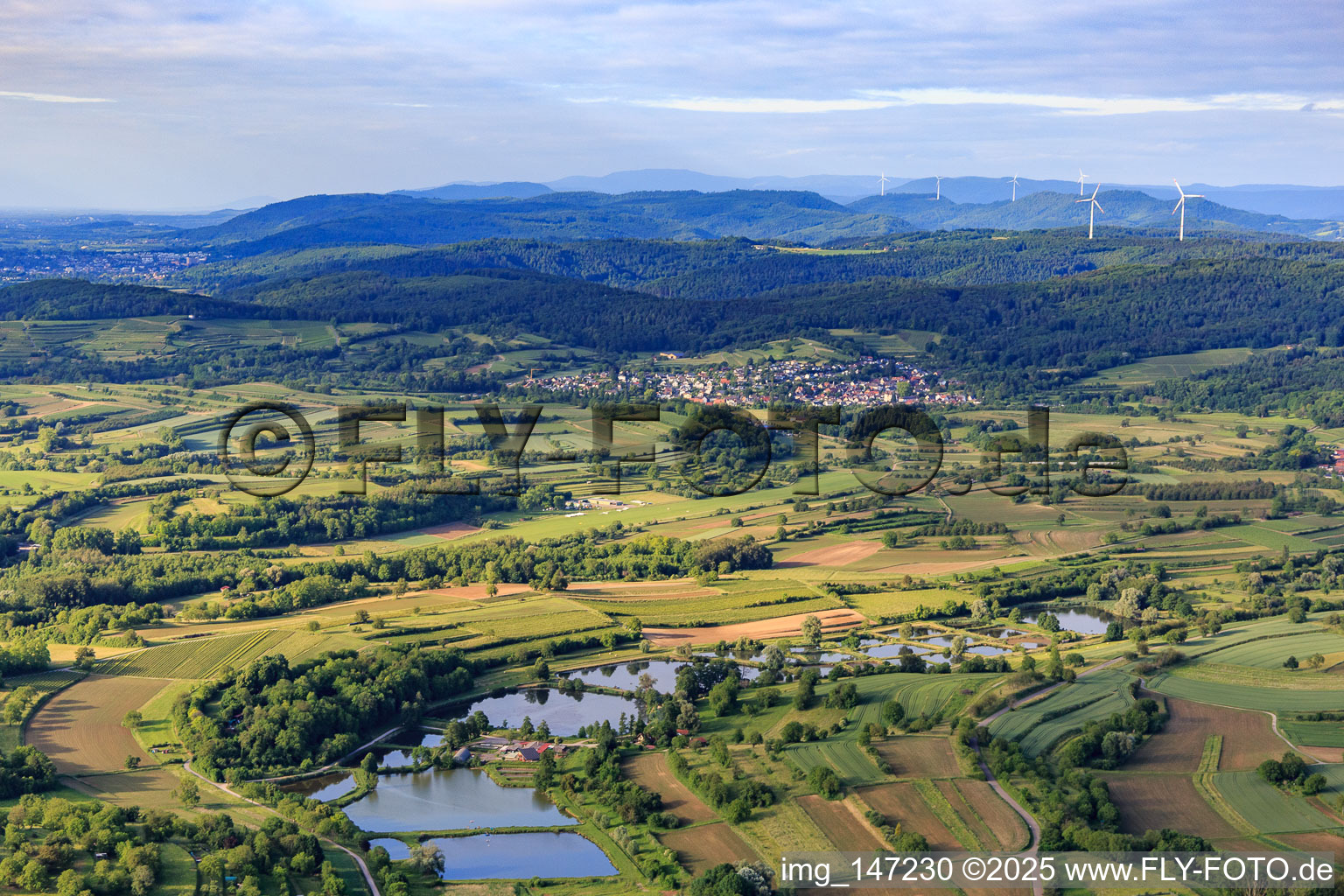 Fish pond on the side stream in Ettenheim in the state Baden-Wuerttemberg, Germany