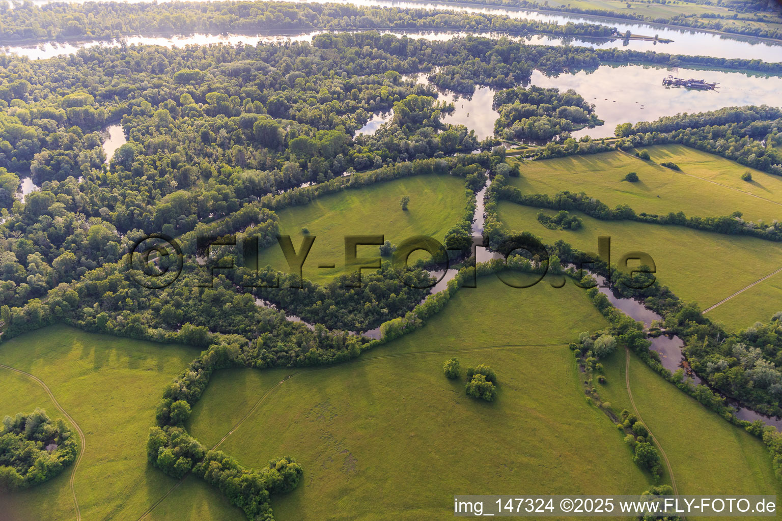 Taubergiessen nature reserve between the Rhine meadows and the Rhine in the district Rheinau in Ortenaukreis in the state Baden-Wuerttemberg, Germany