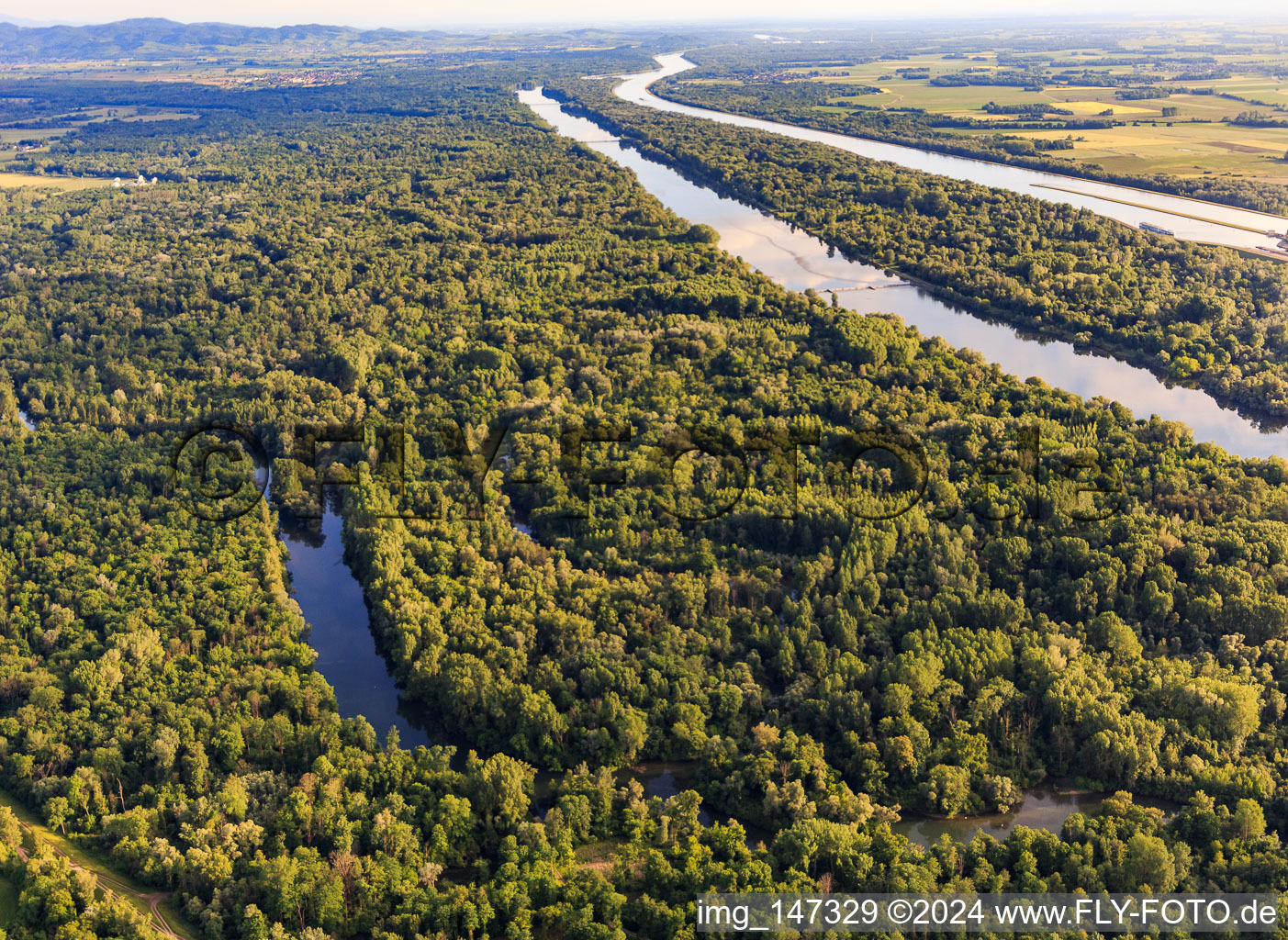 Aerial photograpy of Taubergiessen nature reserve between the Rhine meadows and the Rhine in the district Rheinau in Ortenaukreis in the state Baden-Wuerttemberg, Germany