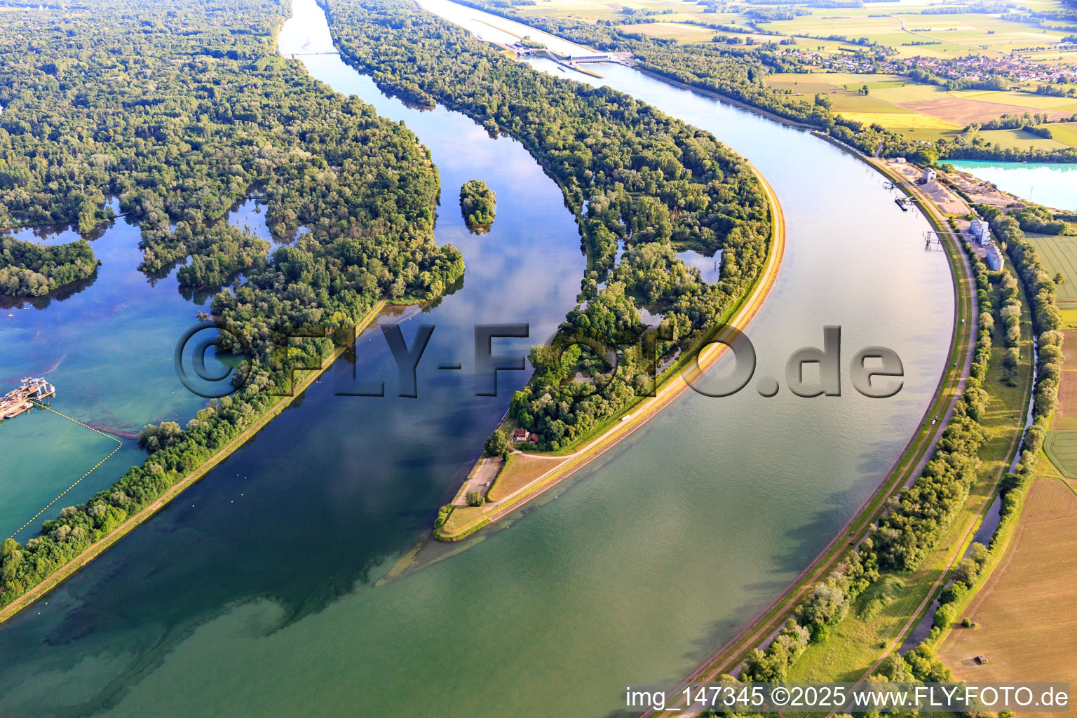 Top of the Rhine Island nature reserve - Réserve Naturelle de l'Île de Rhinau in Rhinau in the state Bas-Rhin, France