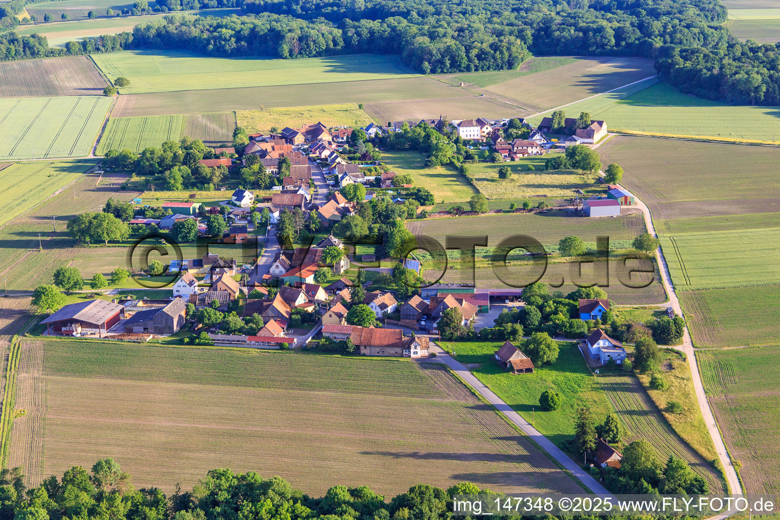Village view from the north in Friesenheim in the state Bas-Rhin, France
