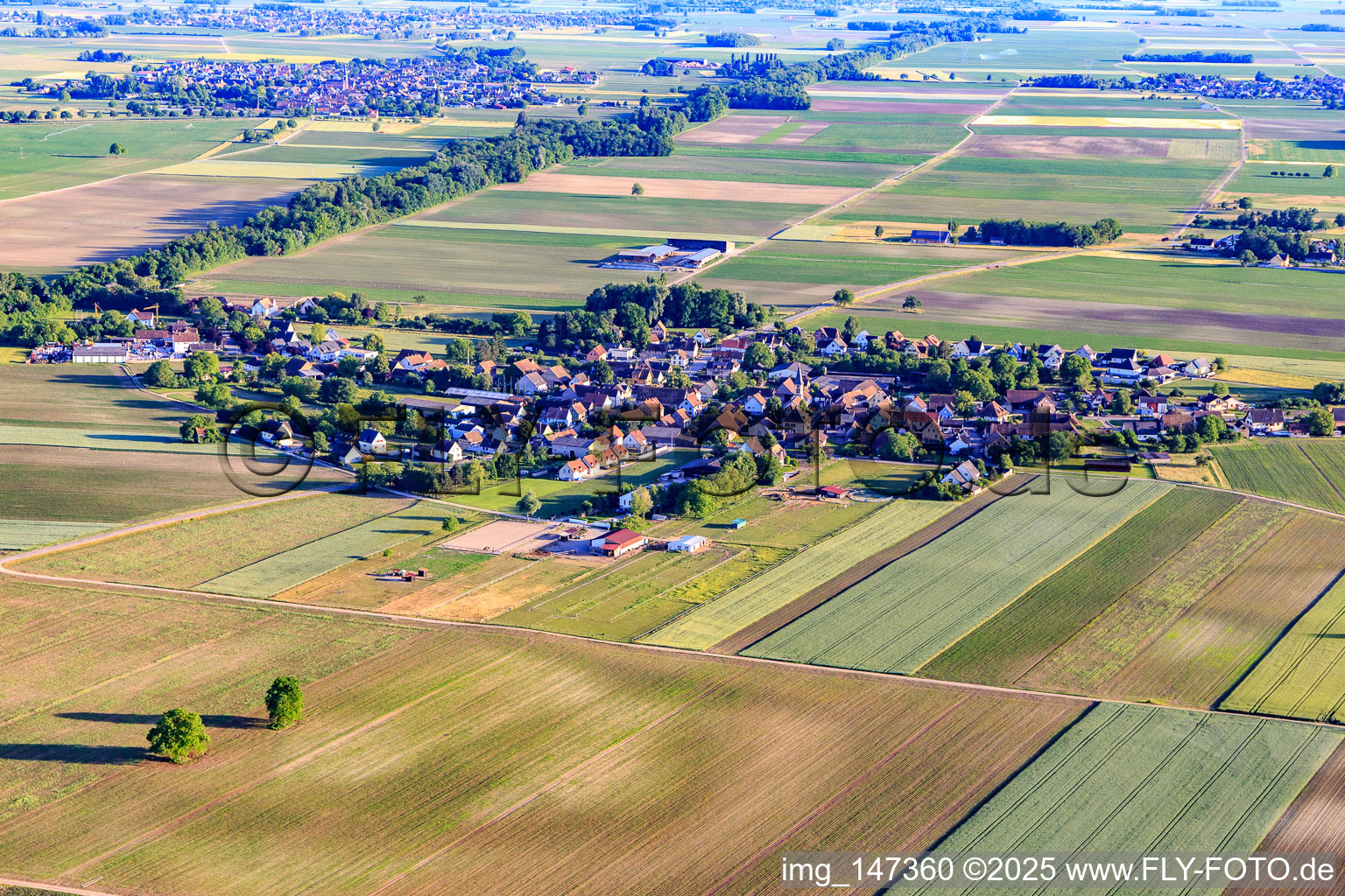 Village view from the north in Schwobsheim in the state Bas-Rhin, France
