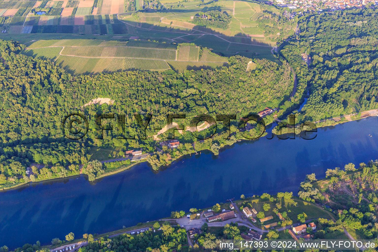 Limberg am Rhein in Sasbach am Kaiserstuhl in the state Baden-Wuerttemberg, Germany