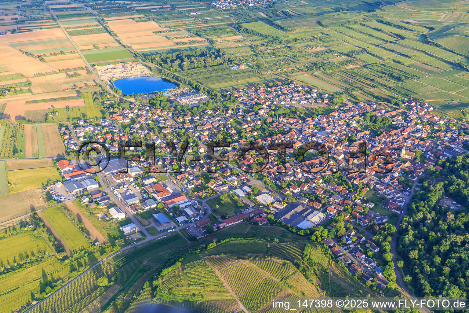 View of the town from the west in Sasbach am Kaiserstuhl in the state Baden-Wuerttemberg, Germany