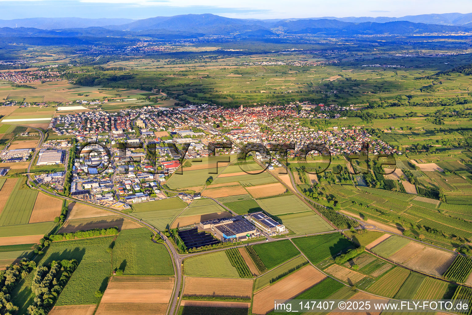 City view from the west in Endingen am Kaiserstuhl in the state Baden-Wuerttemberg, Germany
