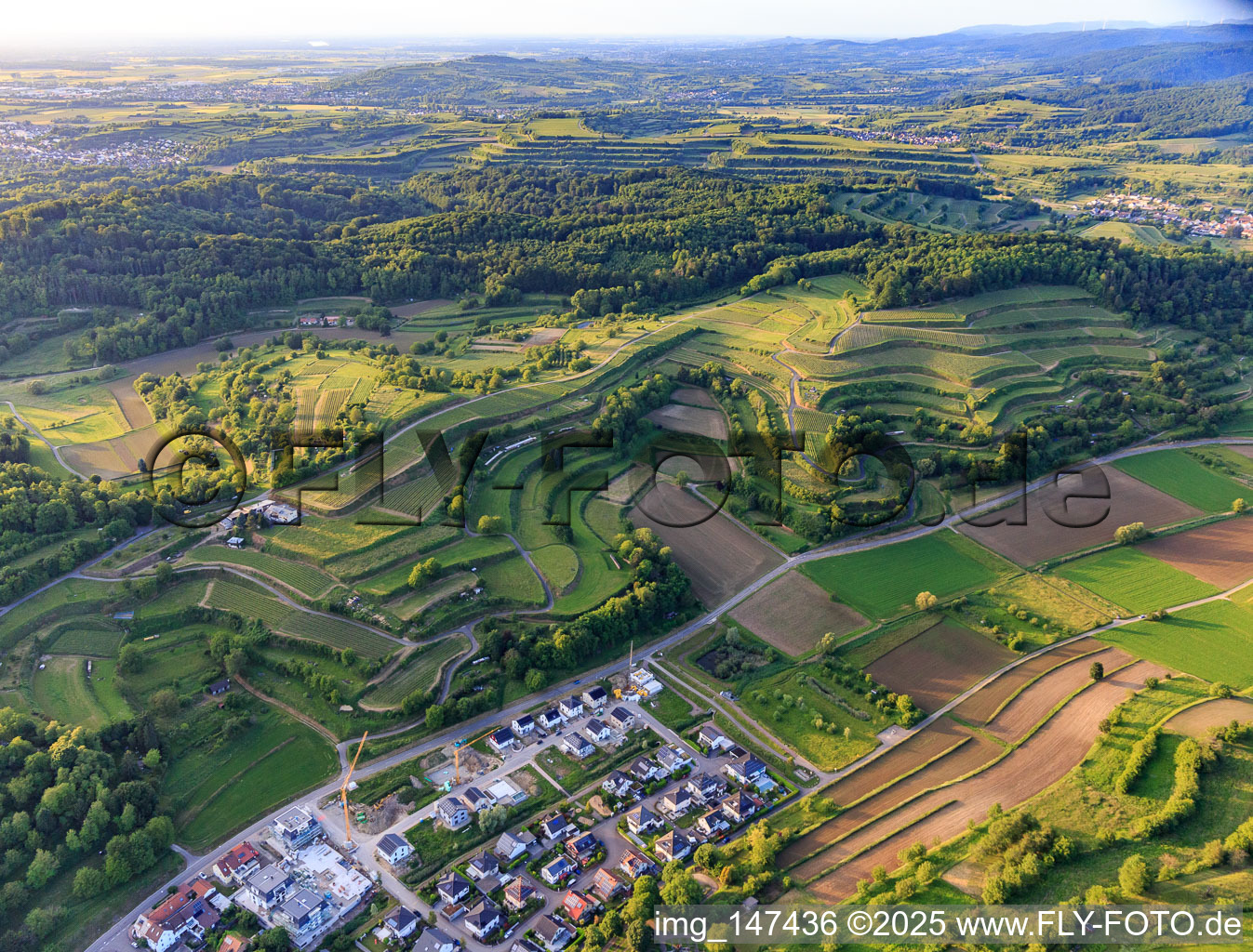 Aerial view of Terraced vineyards in Malterdingen in the state Baden-Wuerttemberg, Germany