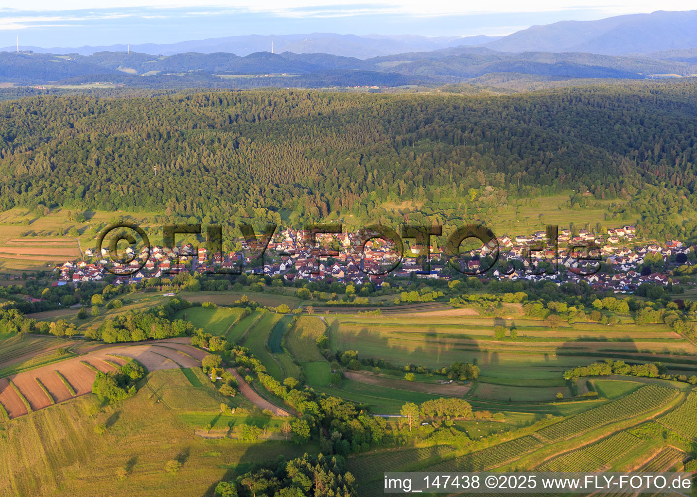 View of the wine-growing town from the west in the district Heimbach in Teningen in the state Baden-Wuerttemberg, Germany