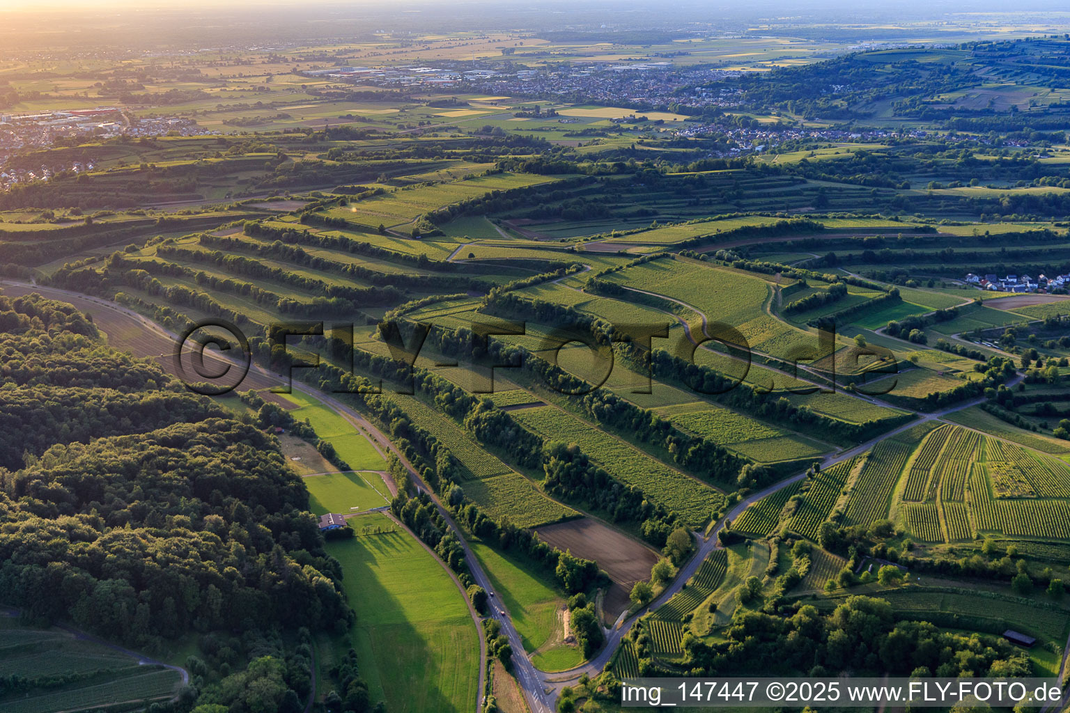 Aerial view of Terraced vineyards in the district Bombach in Kenzingen in the state Baden-Wuerttemberg, Germany