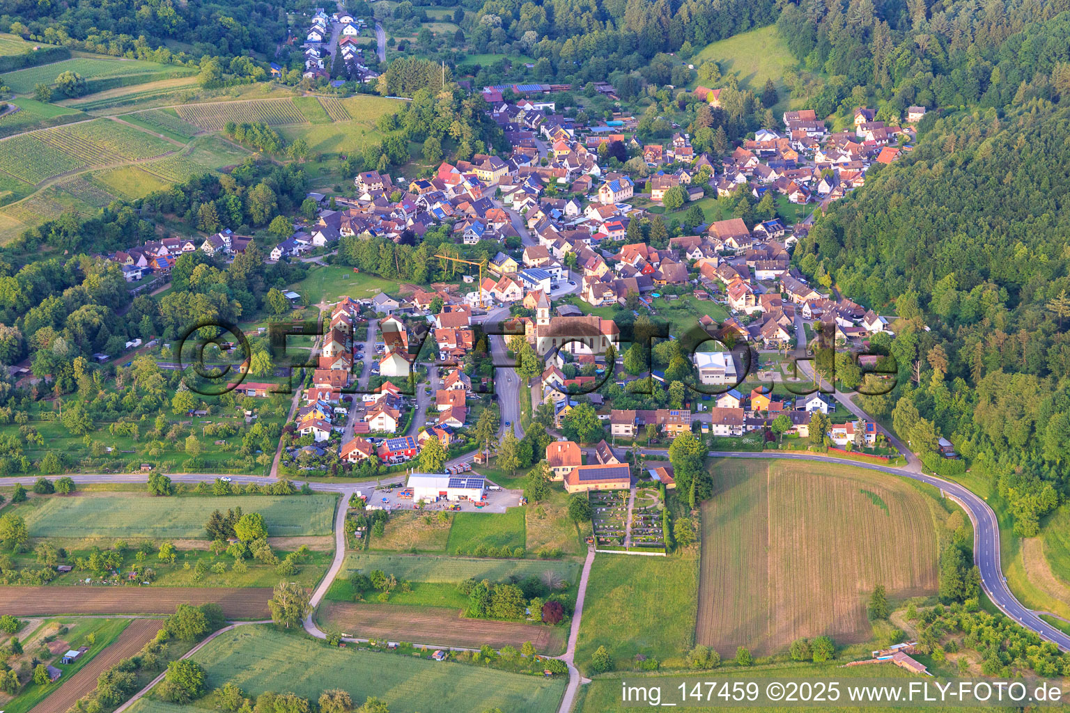 View of the wine-growing village from the west with the church of St. Hilarius in the district Bleichheim in Herbolzheim in the state Baden-Wuerttemberg, Germany