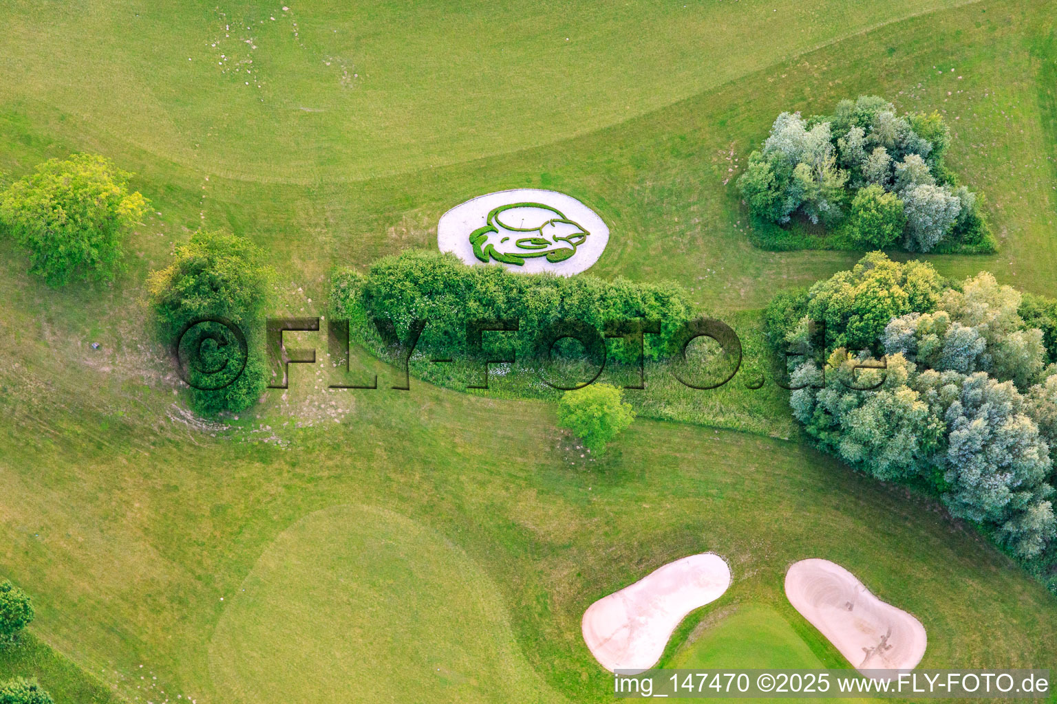 Bird's head-shaped hedge at Europa-Park Golf Club Breisgau in Herbolzheim in the state Baden-Wuerttemberg, Germany