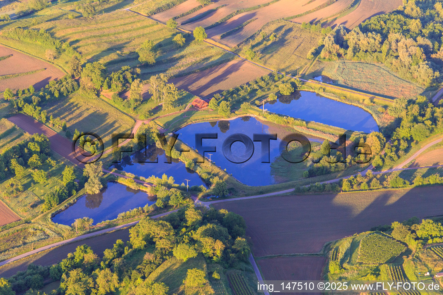 Fish ponds in the district Ettenheimweiler in Ettenheim in the state Baden-Wuerttemberg, Germany
