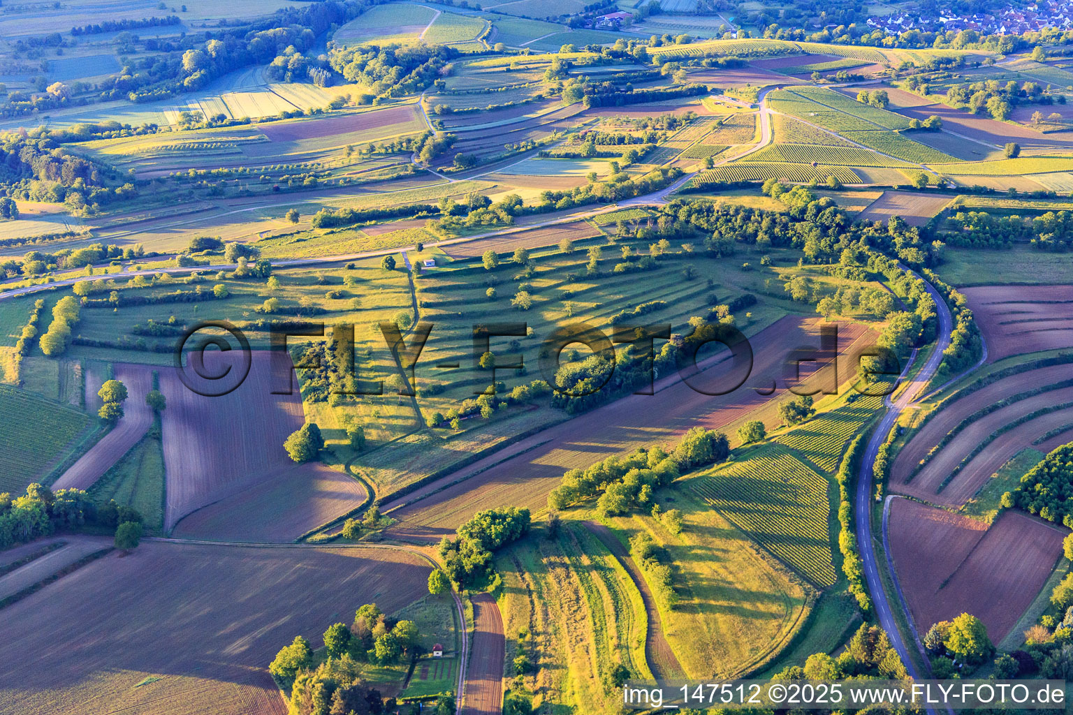 Vineyards, fields and meadows in the district Ettenheimweiler in Ettenheim in the state Baden-Wuerttemberg, Germany