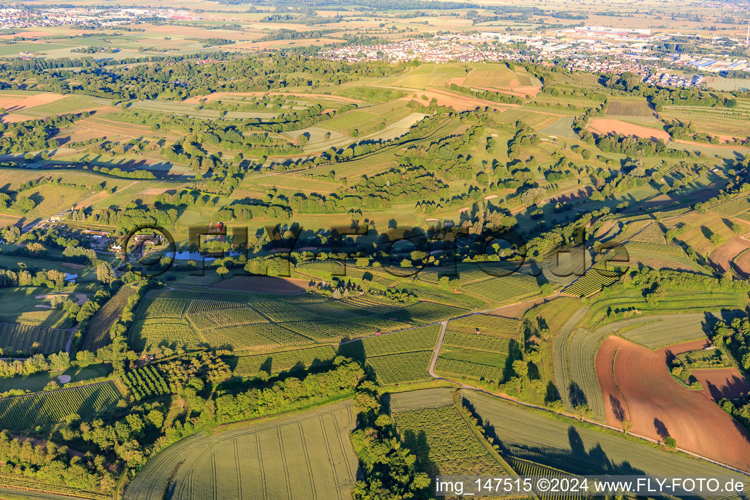 Europa-Park Golf Club Breisgau in the district Tutschfelden in Herbolzheim in the state Baden-Wuerttemberg, Germany seen from above