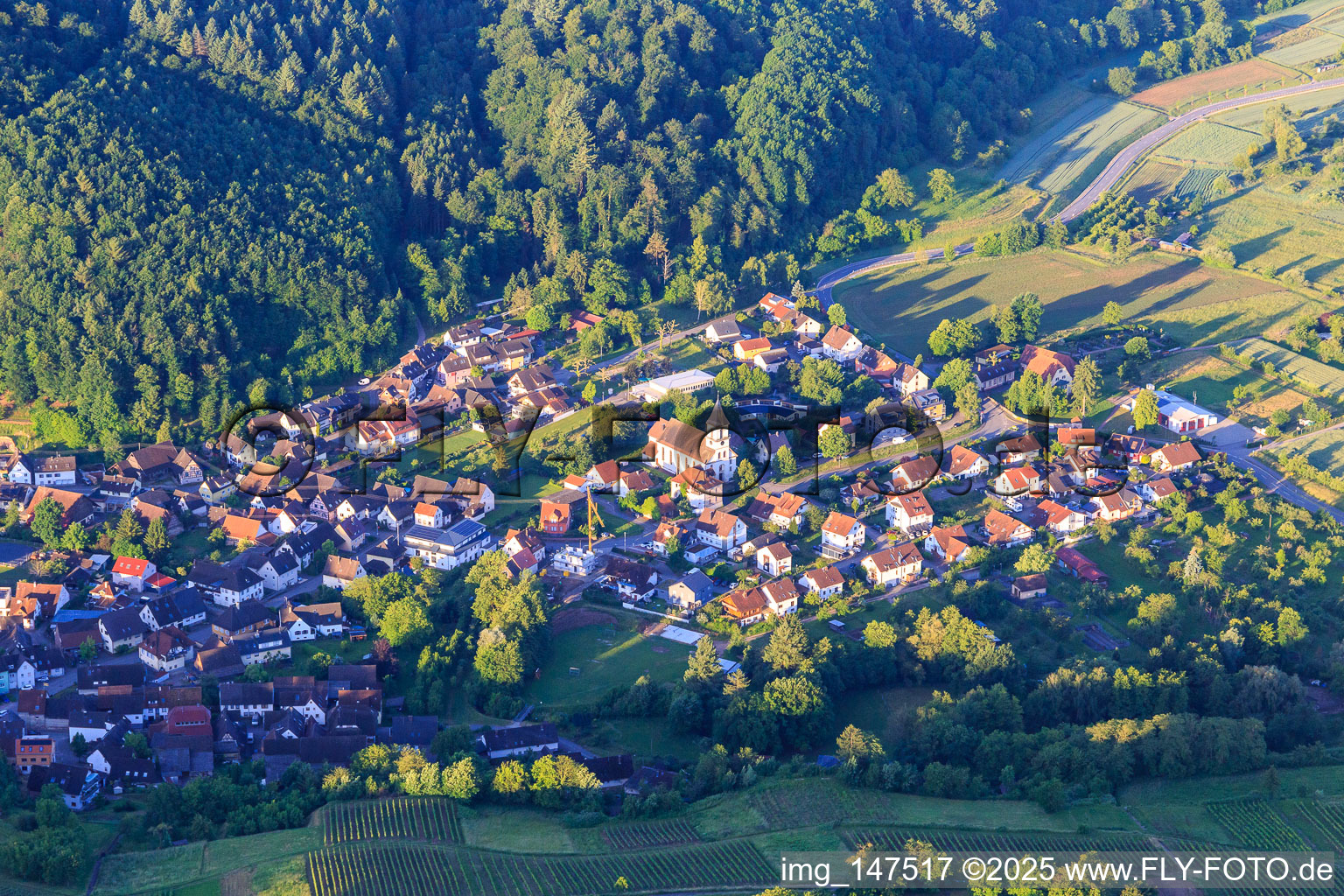 View of the wine-growing village from the north with the church of St. Hilarius in the district Bleichheim in Herbolzheim in the state Baden-Wuerttemberg, Germany
