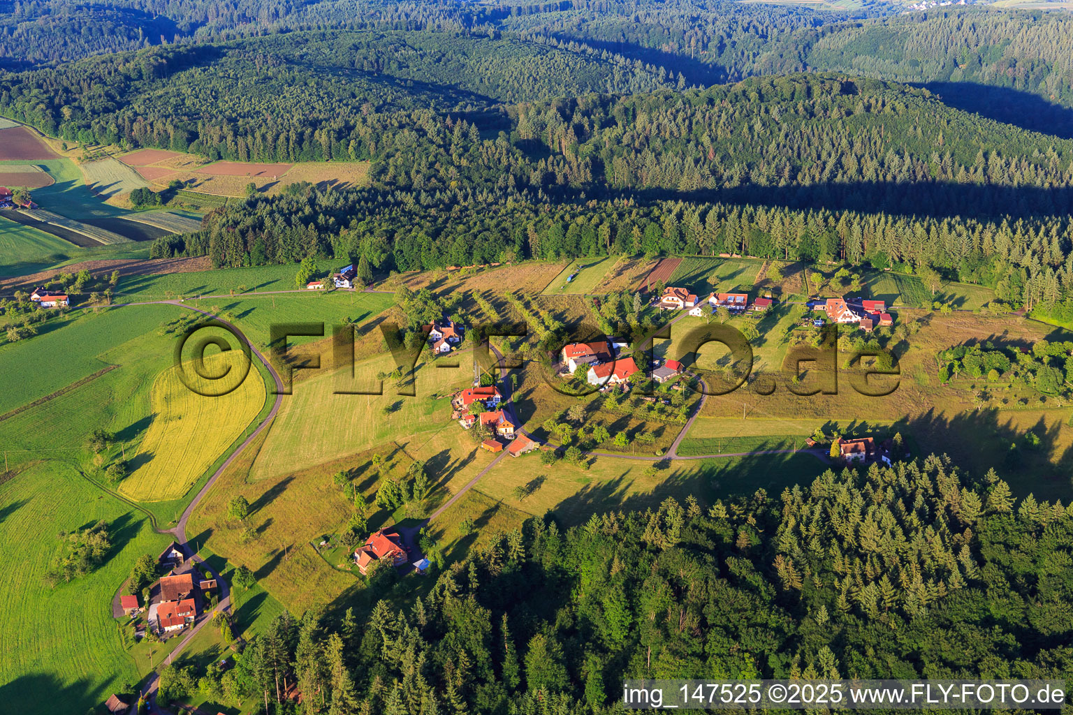 District of Hohreute in the district Ottoschwanden in Freiamt in the state Baden-Wuerttemberg, Germany