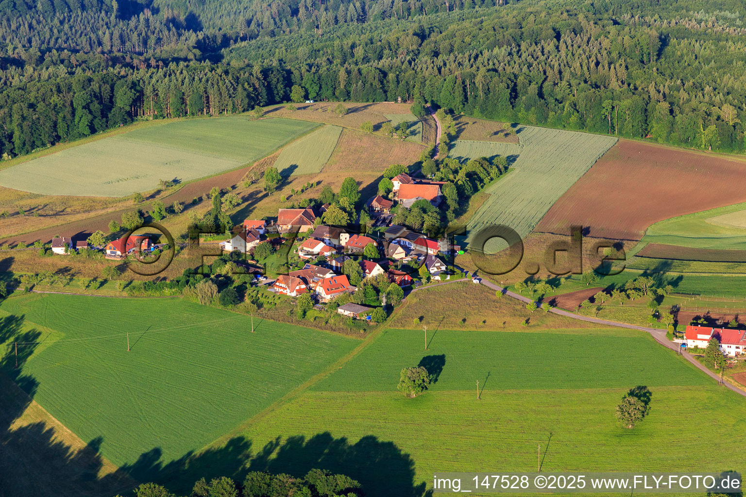 Oberberg district in the district Ottoschwanden in Freiamt in the state Baden-Wuerttemberg, Germany
