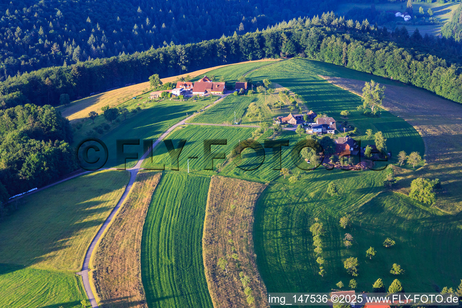 Holiday apartment in the Brennhaus in the district Reichenbach in Freiamt in the state Baden-Wuerttemberg, Germany