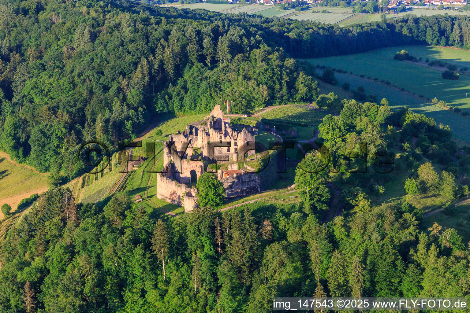 Fortress ruins Hochburg near Emmendingen from the north in the district Windenreute in Emmendingen in the state Baden-Wuerttemberg, Germany