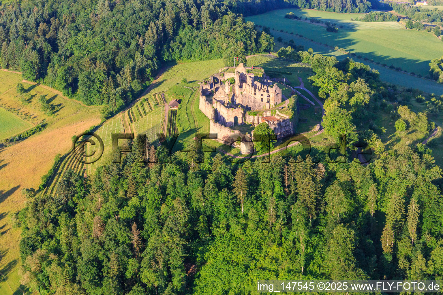 Aerial photograpy of Fortress ruins Hochburg near Emmendingen from the north in the district Windenreute in Emmendingen in the state Baden-Wuerttemberg, Germany