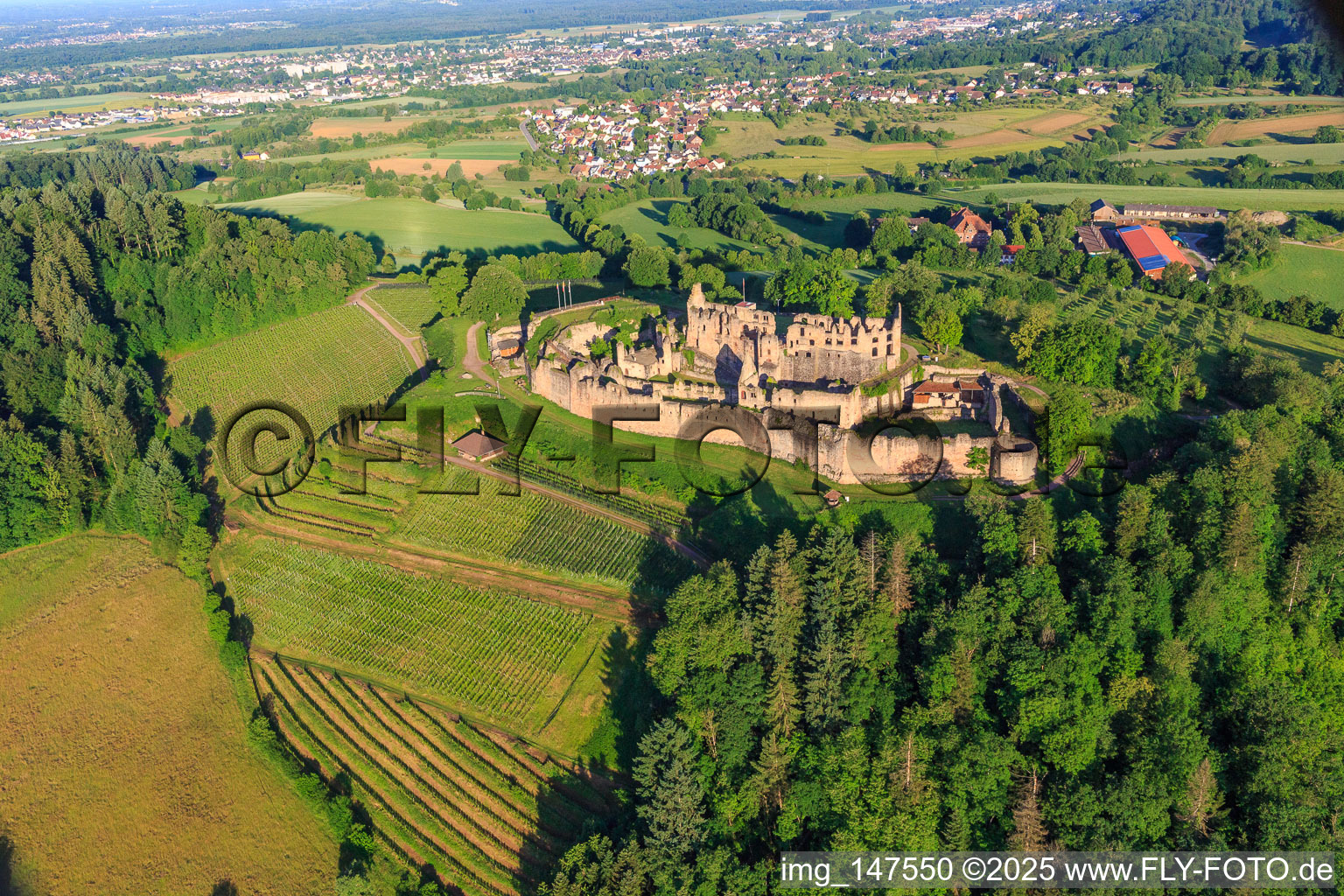 Fortress ruins Hochburg near Emmendingen from the east in the district Windenreute in Emmendingen in the state Baden-Wuerttemberg, Germany
