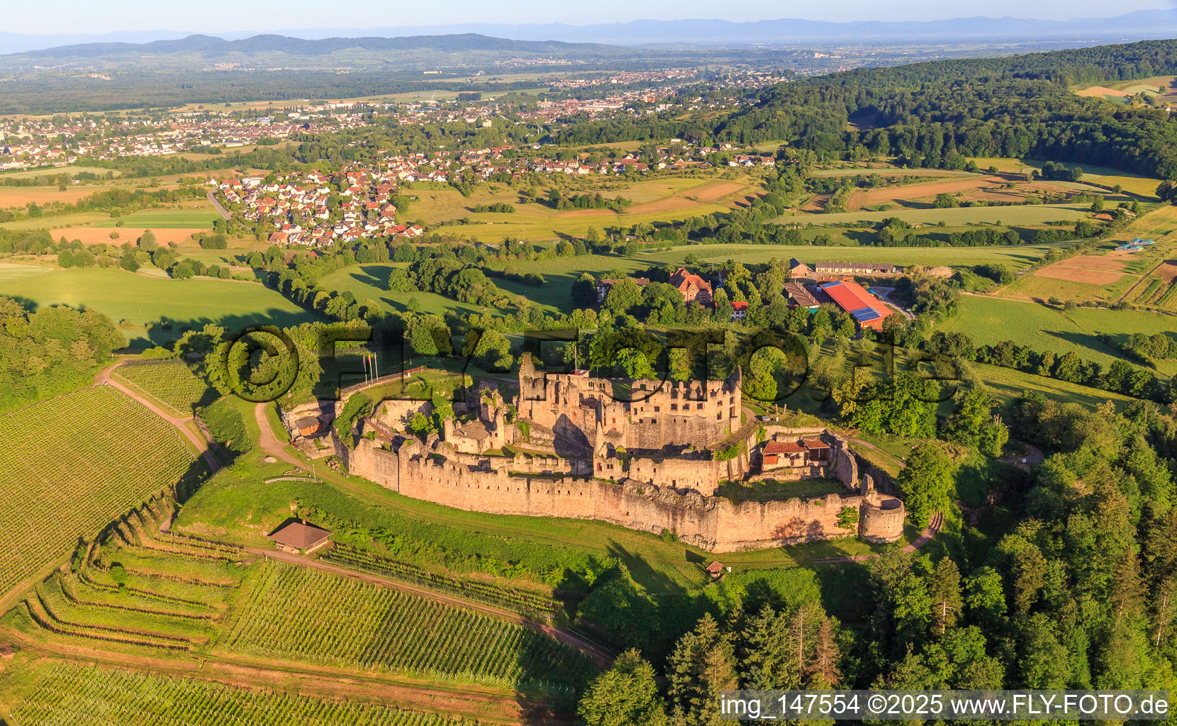 Aerial photograpy of Fortress ruins Hochburg near Emmendingen from the east in the district Windenreute in Emmendingen in the state Baden-Wuerttemberg, Germany