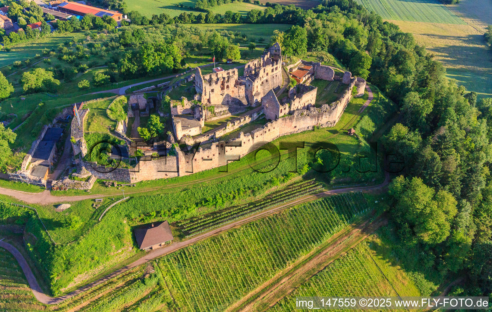 Fortress ruins Hochburg near Emmendingen from the east in the district Windenreute in Emmendingen in the state Baden-Wuerttemberg, Germany from above