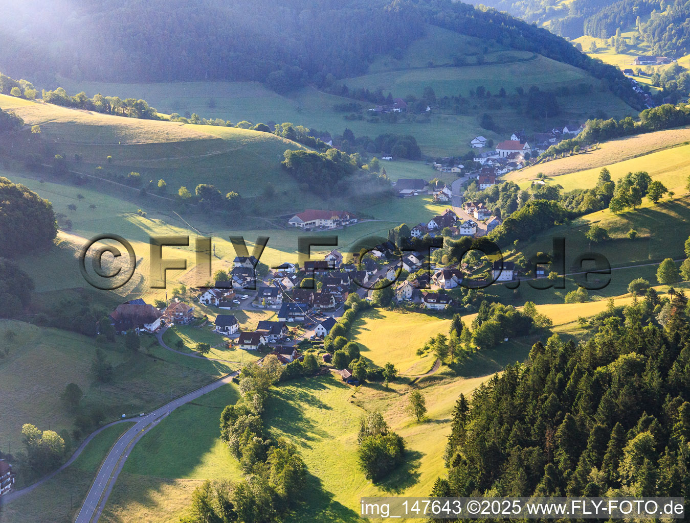 Village view in the Yachbachtal from the west in the district Yach in Elzach in the state Baden-Wuerttemberg, Germany