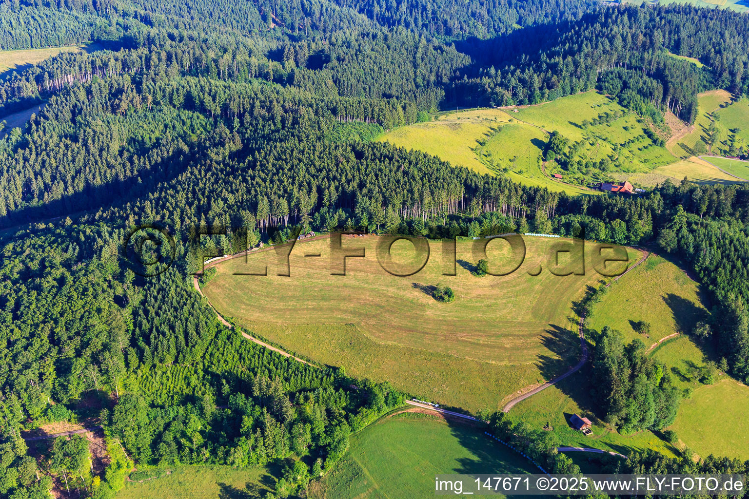 Mown meadow in the Northern Black Forest in Mühlenbach in the state Baden-Wuerttemberg, Germany