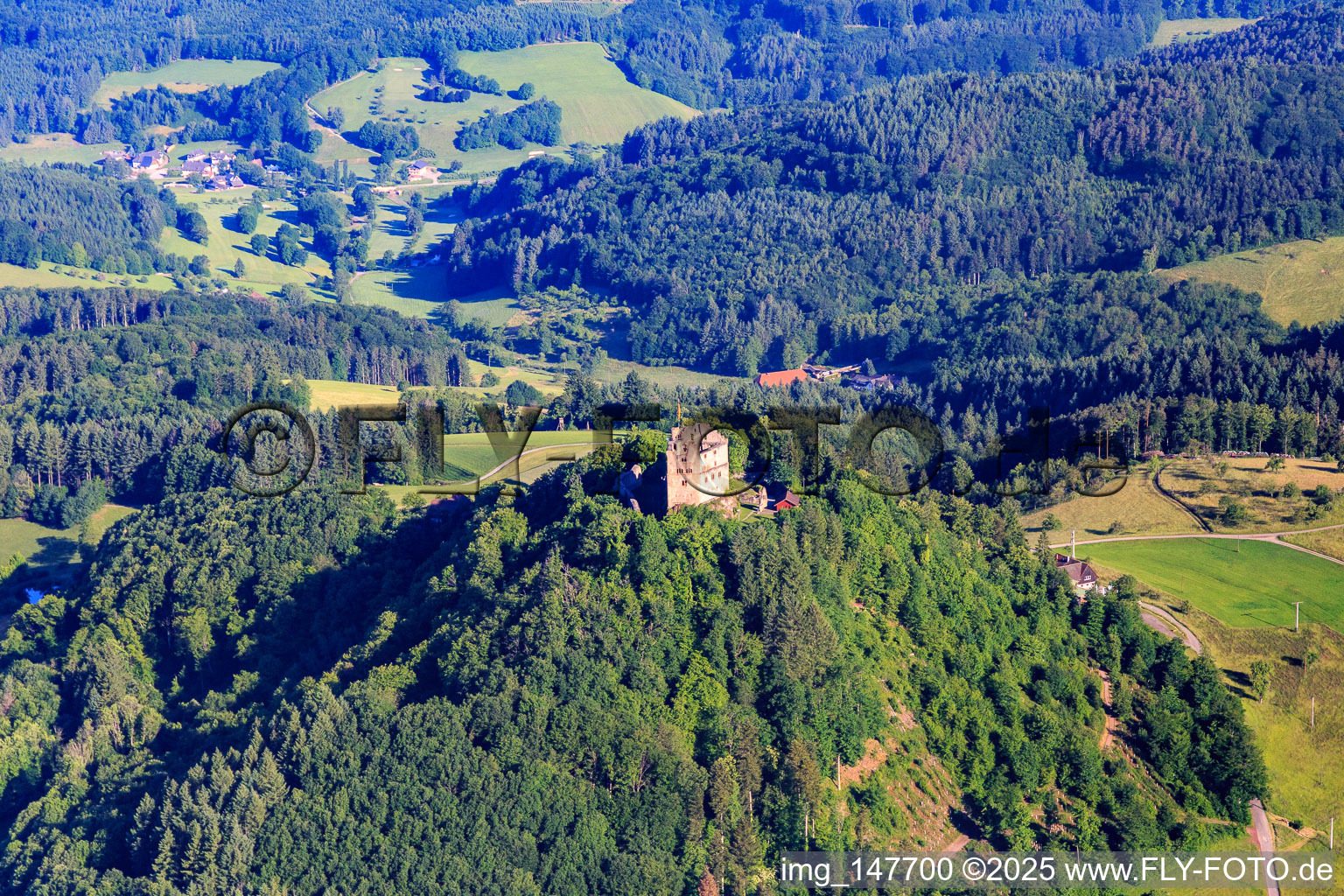 Castle ruins Hohengeroldseck on the Schloßberg from the south in Seelbach in the state Baden-Wuerttemberg, Germany