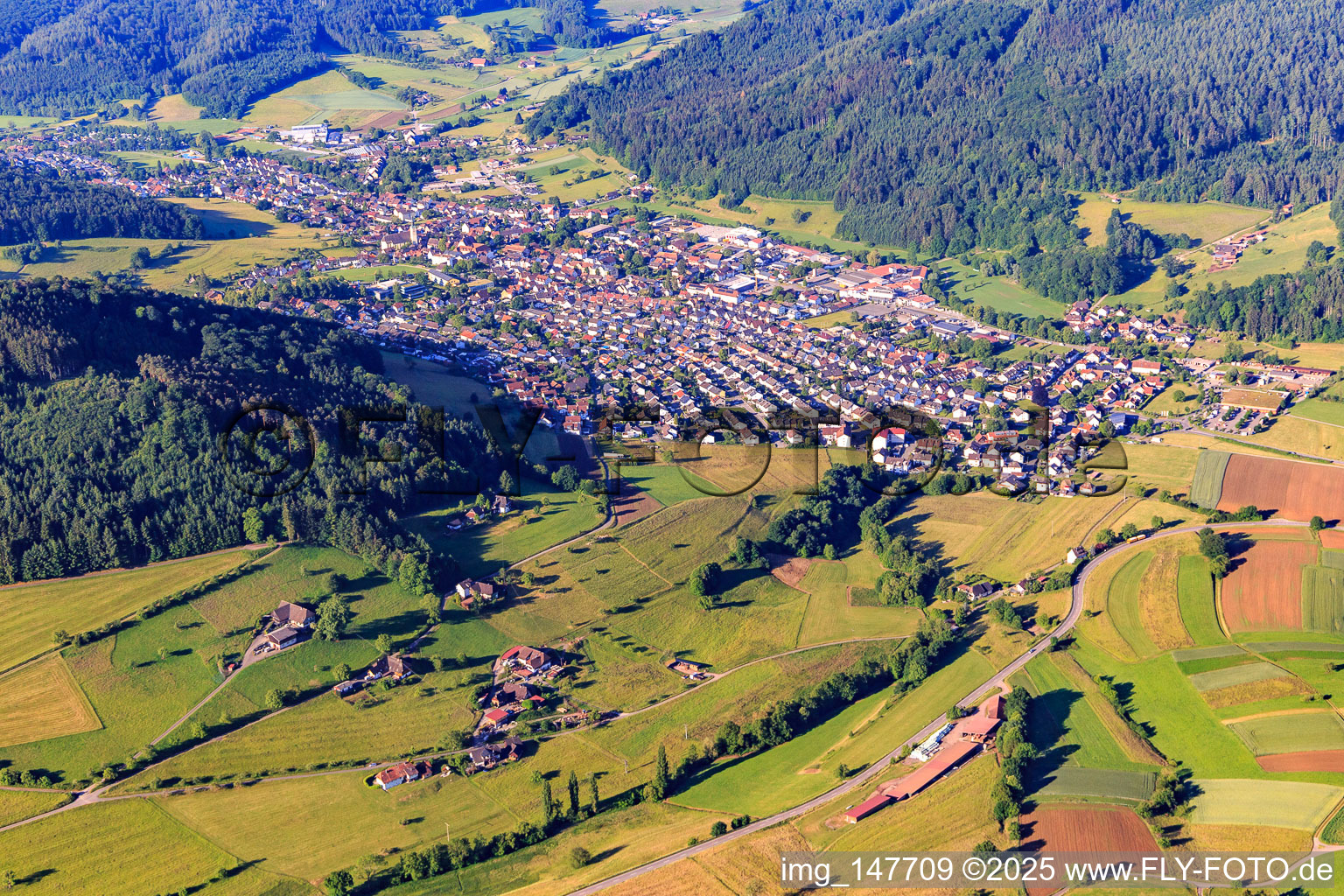 View of the Schuttertal from the north in Seelbach in the state Baden-Wuerttemberg, Germany