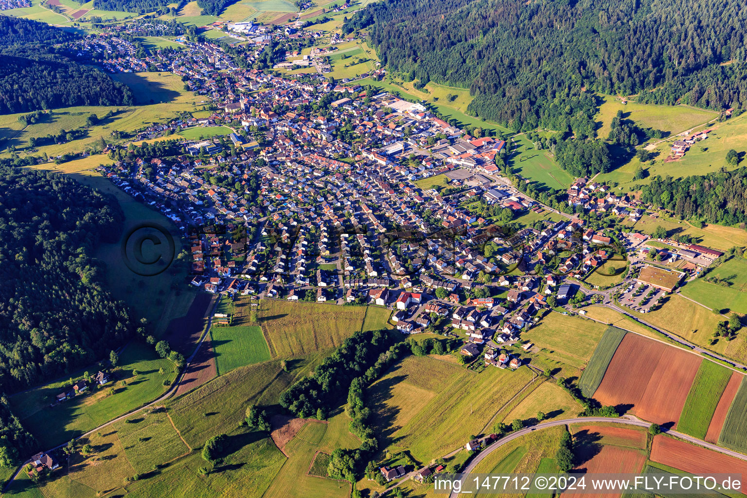 Overview of the Schuttertal valley from the northeast in Seelbach in the state Baden-Wuerttemberg, Germany