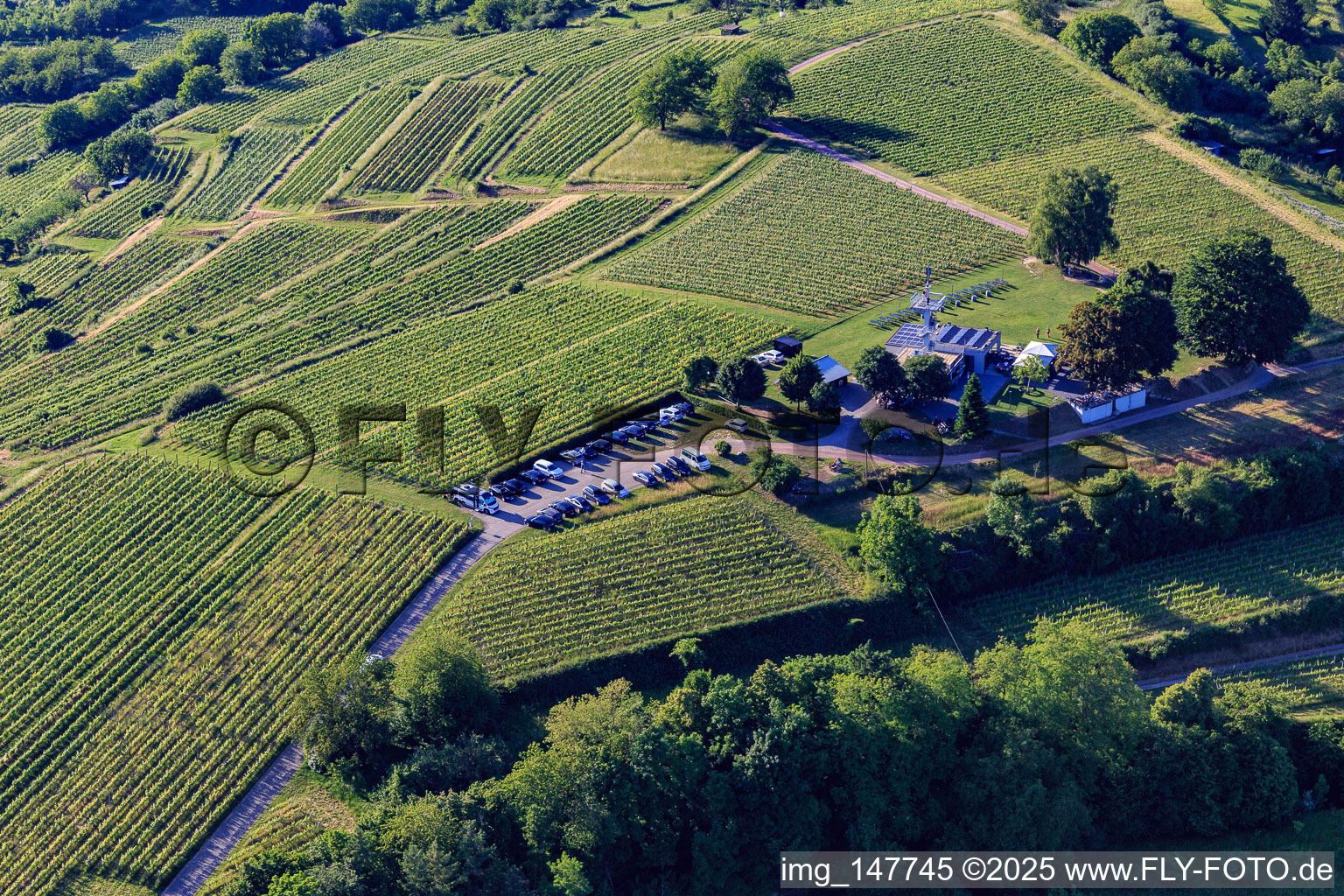 Heubergturm panorama restaurant / to the Heuberg on the vineyard in Ettenheim in the state Baden-Wuerttemberg, Germany