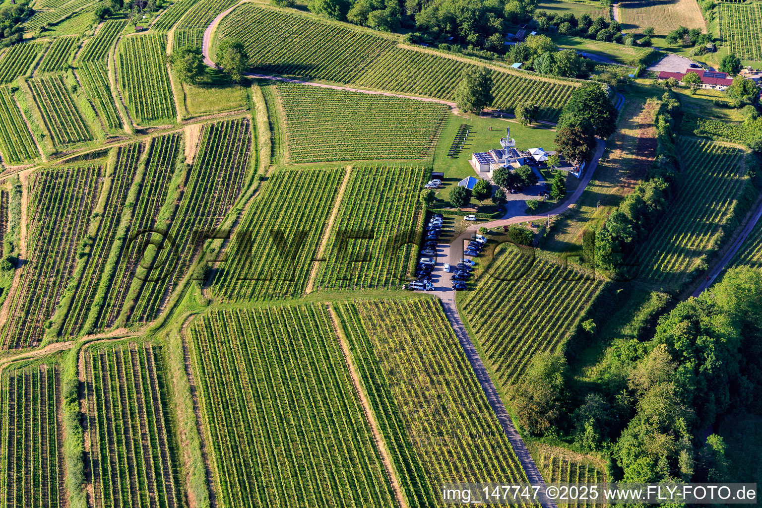 Aerial view of Heubergturm panorama restaurant / to the Heuberg on the vineyard in Ettenheim in the state Baden-Wuerttemberg, Germany