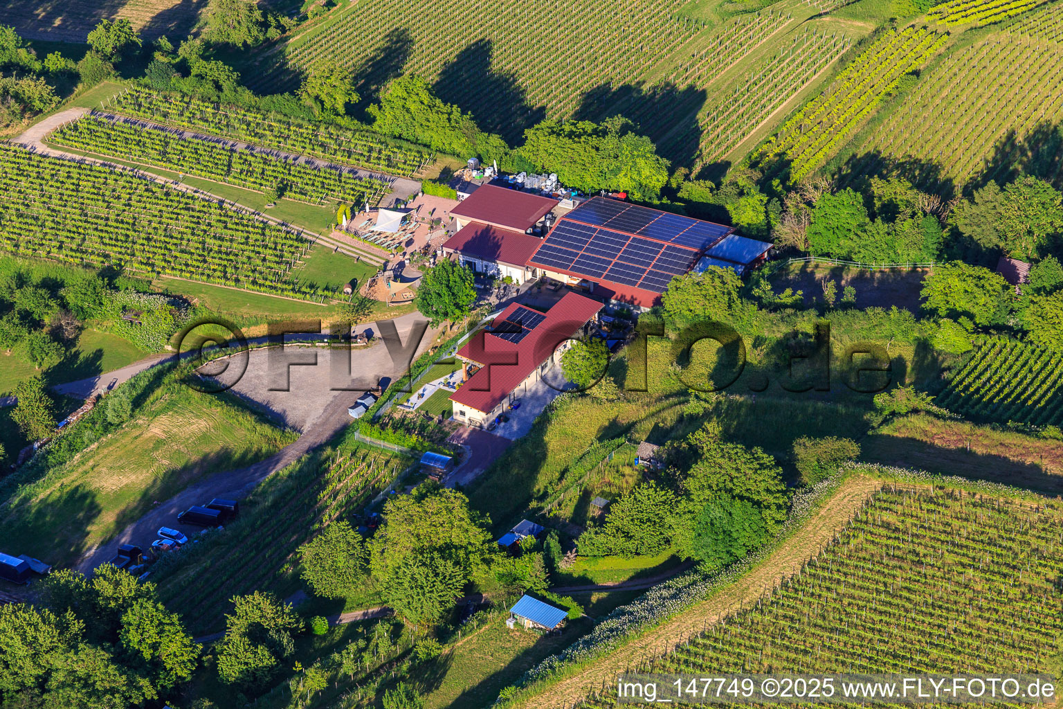 Winery A. Bieselin in Ettenheim in the state Baden-Wuerttemberg, Germany
