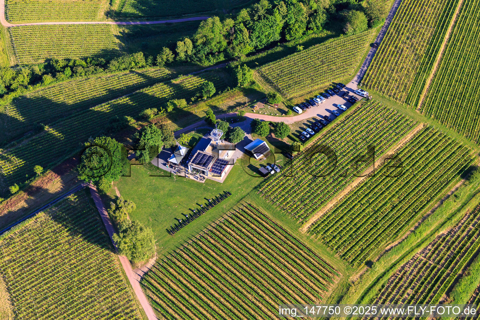 Aerial photograpy of Heubergturm panorama restaurant / to the Heuberg on the vineyard in Ettenheim in the state Baden-Wuerttemberg, Germany