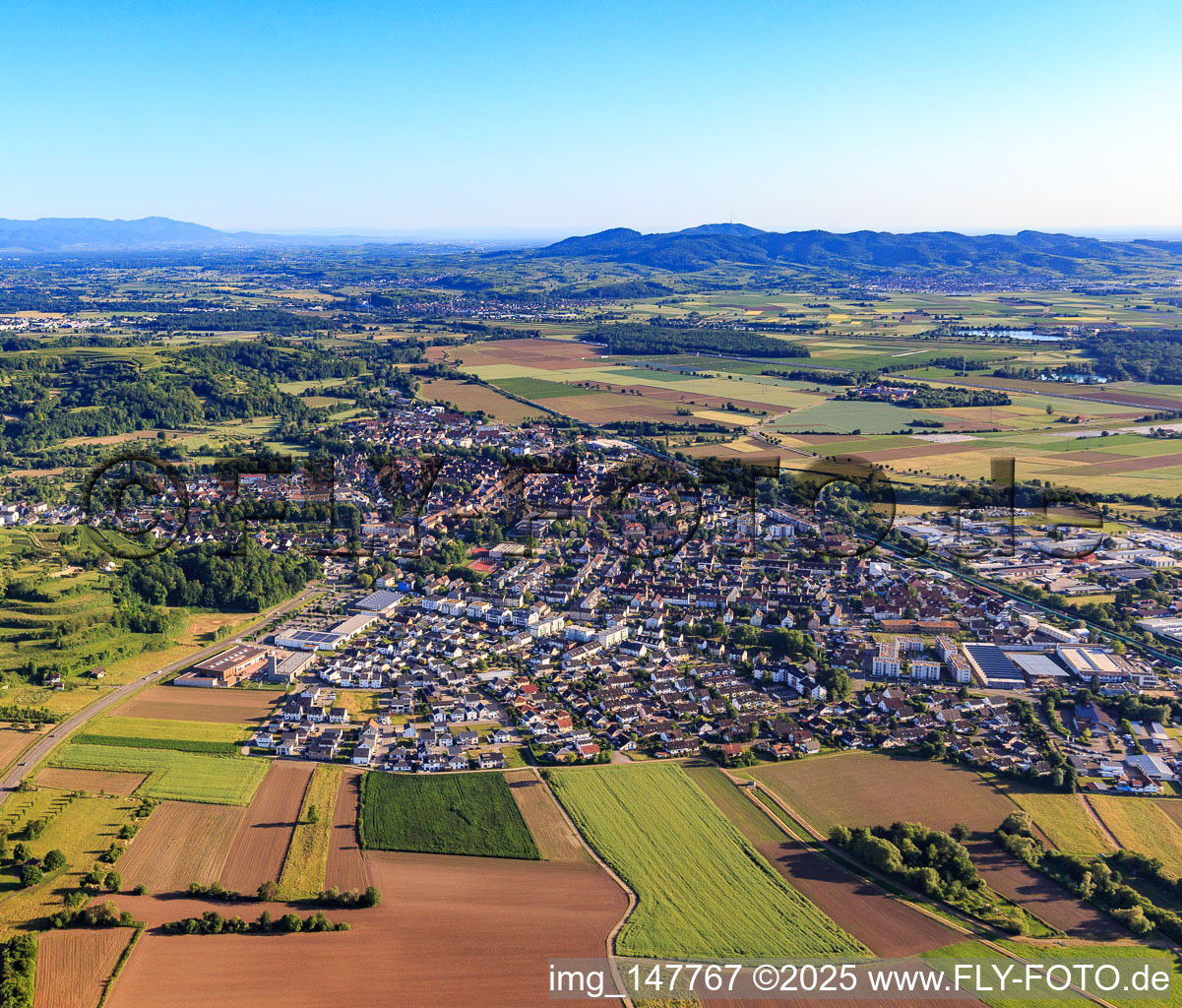 City view from the north in the district Wonnental in Kenzingen in the state Baden-Wuerttemberg, Germany