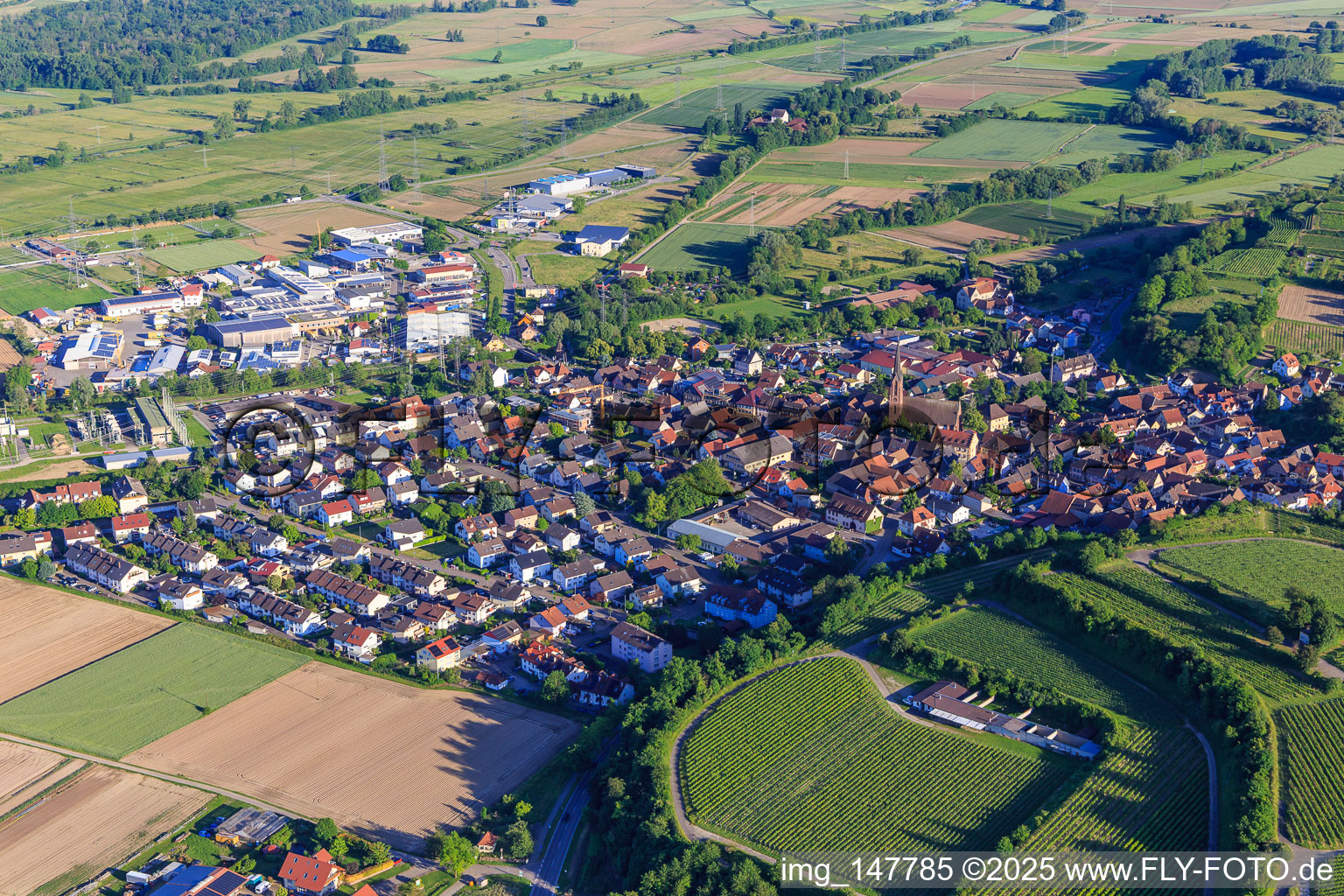 View from the north in Eichstetten am Kaiserstuhl in the state Baden-Wuerttemberg, Germany