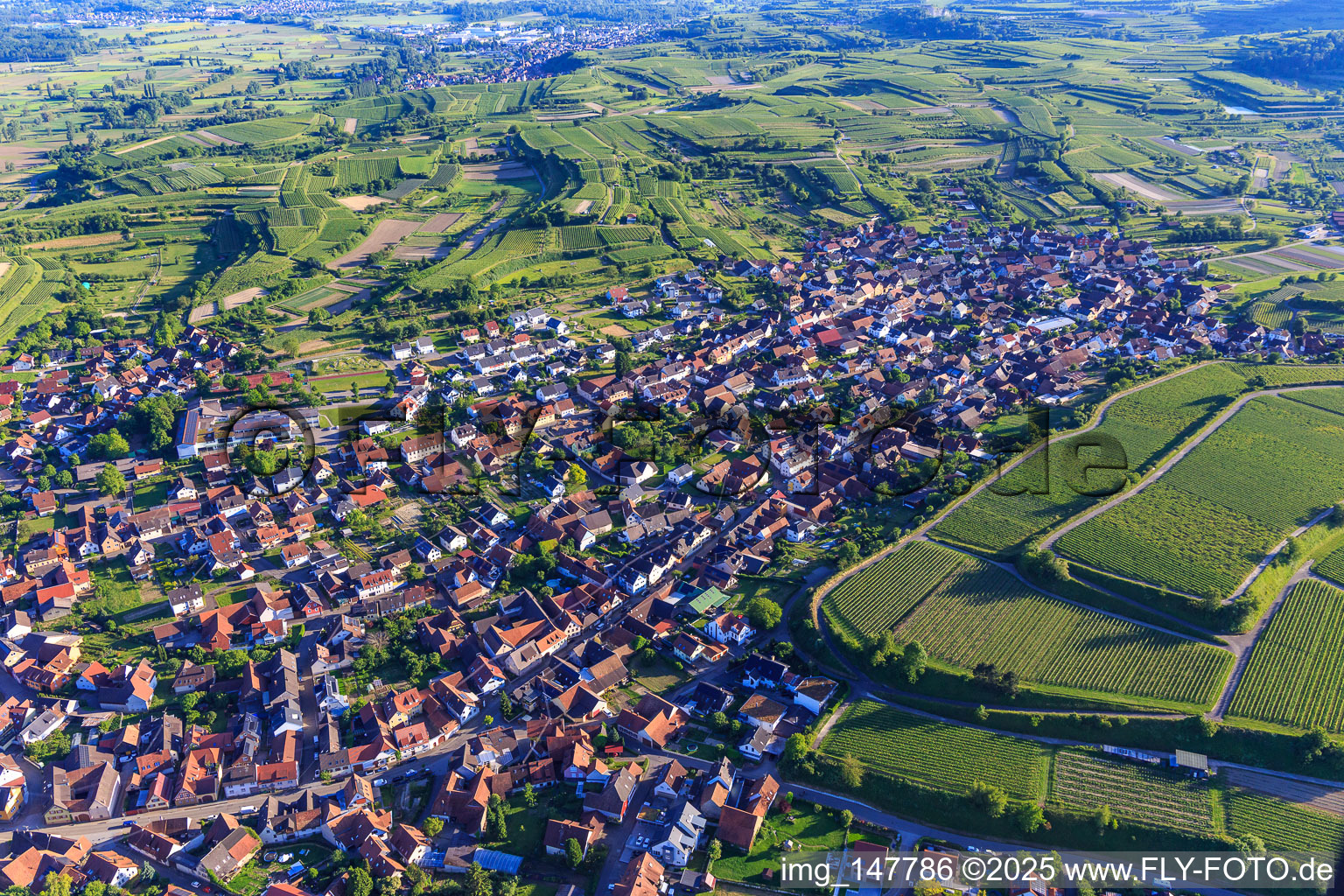 Aerial view of View from the north in Eichstetten am Kaiserstuhl in the state Baden-Wuerttemberg, Germany