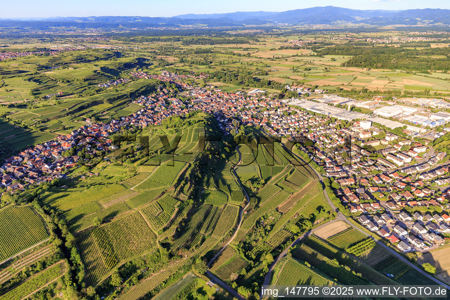 Overview of the town from the west in Bötzingen in the state Baden-Wuerttemberg, Germany