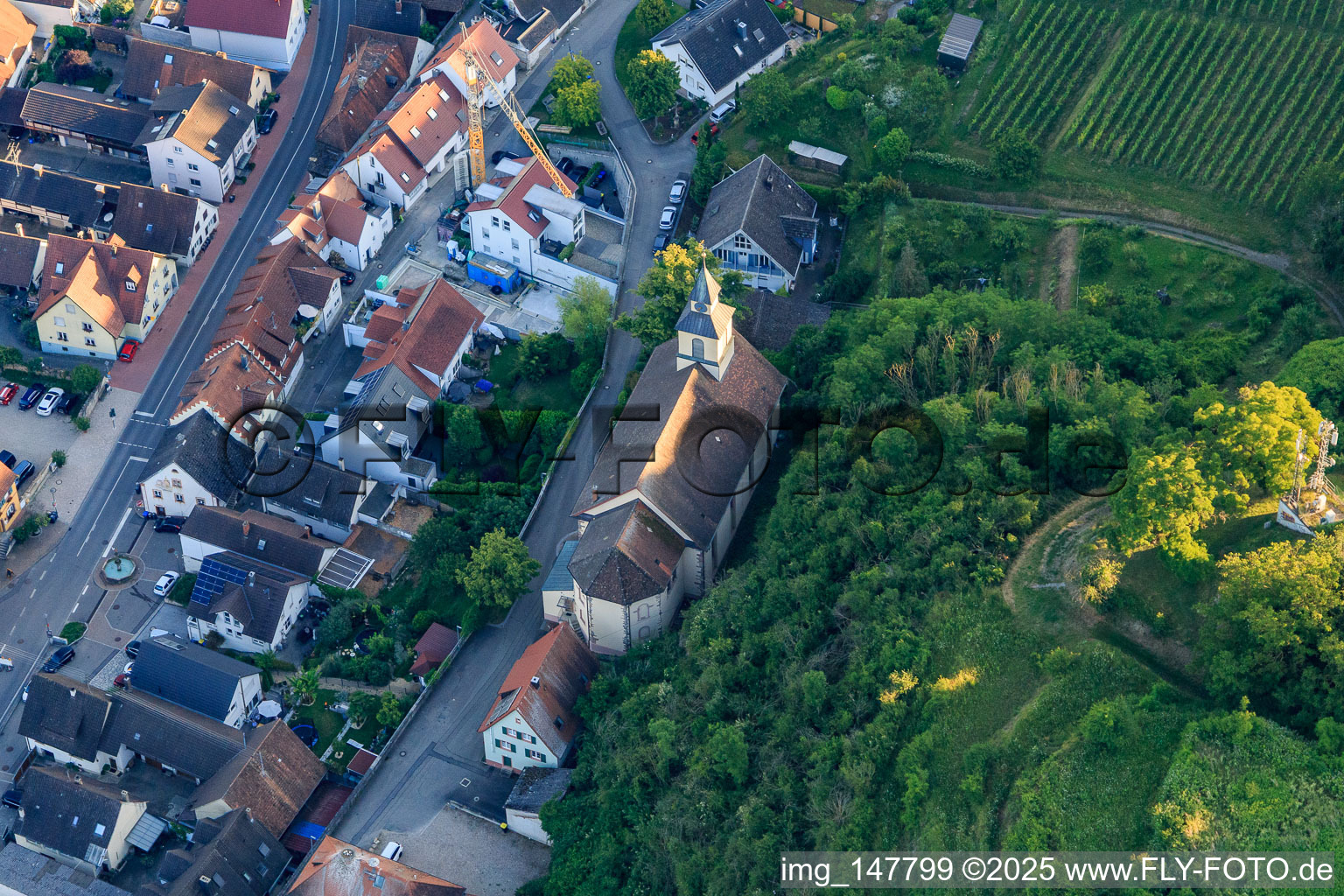Aerial view of Parish Church of the Assumption of Mary in the district Wasenweiler in Ihringen in the state Baden-Wuerttemberg, Germany