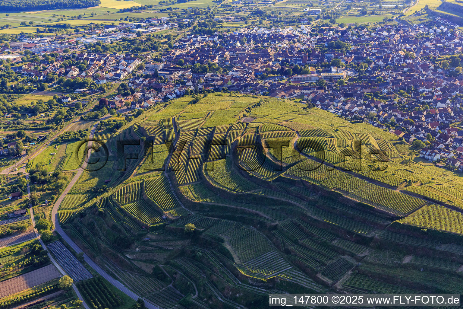 Aerial view of Terraced vineyards in the southern Kaiserstuhl in the district Wasenweiler in Ihringen in the state Baden-Wuerttemberg, Germany