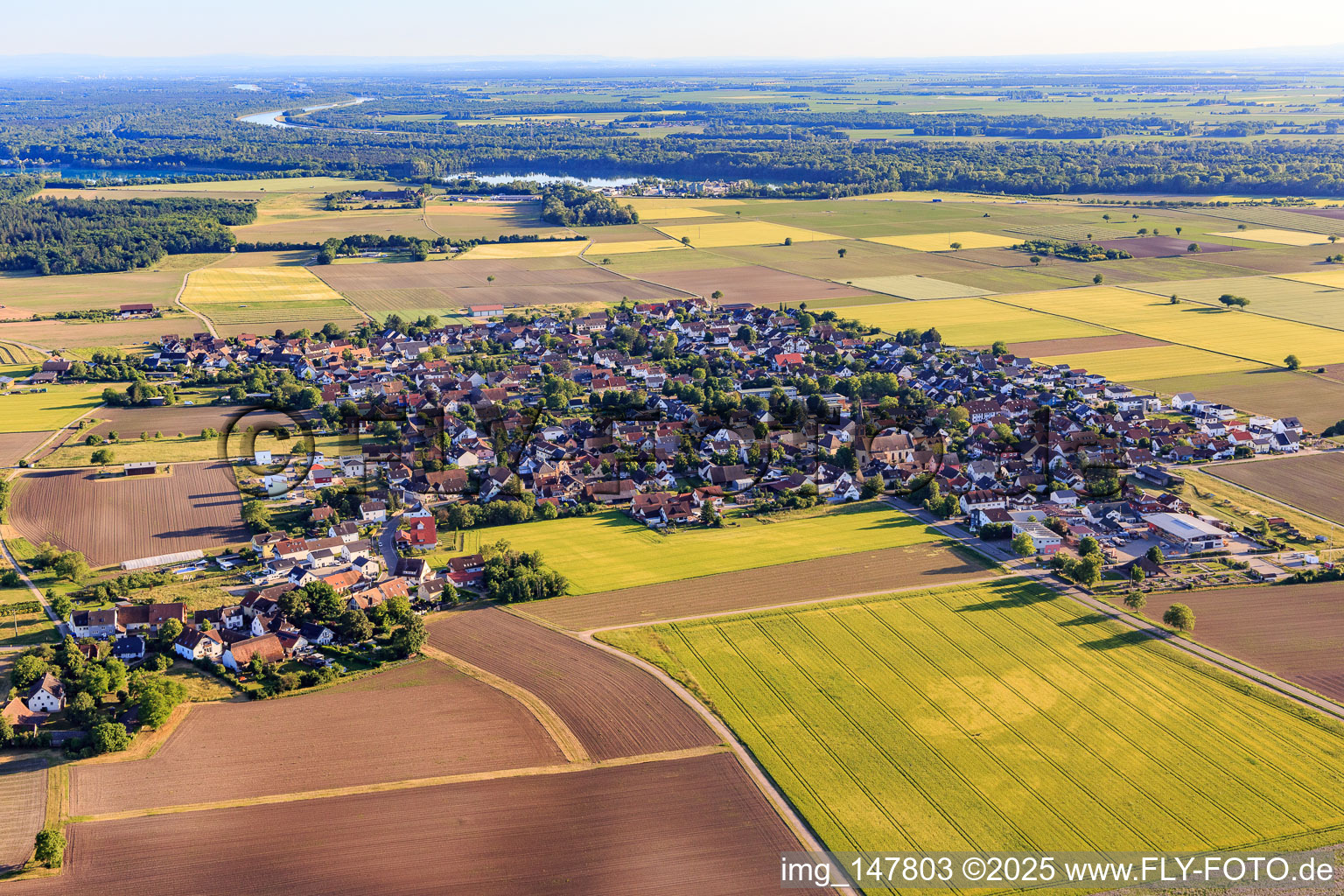 Village view from the north in the district Gündlingen in Breisach am Rhein in the state Baden-Wuerttemberg, Germany